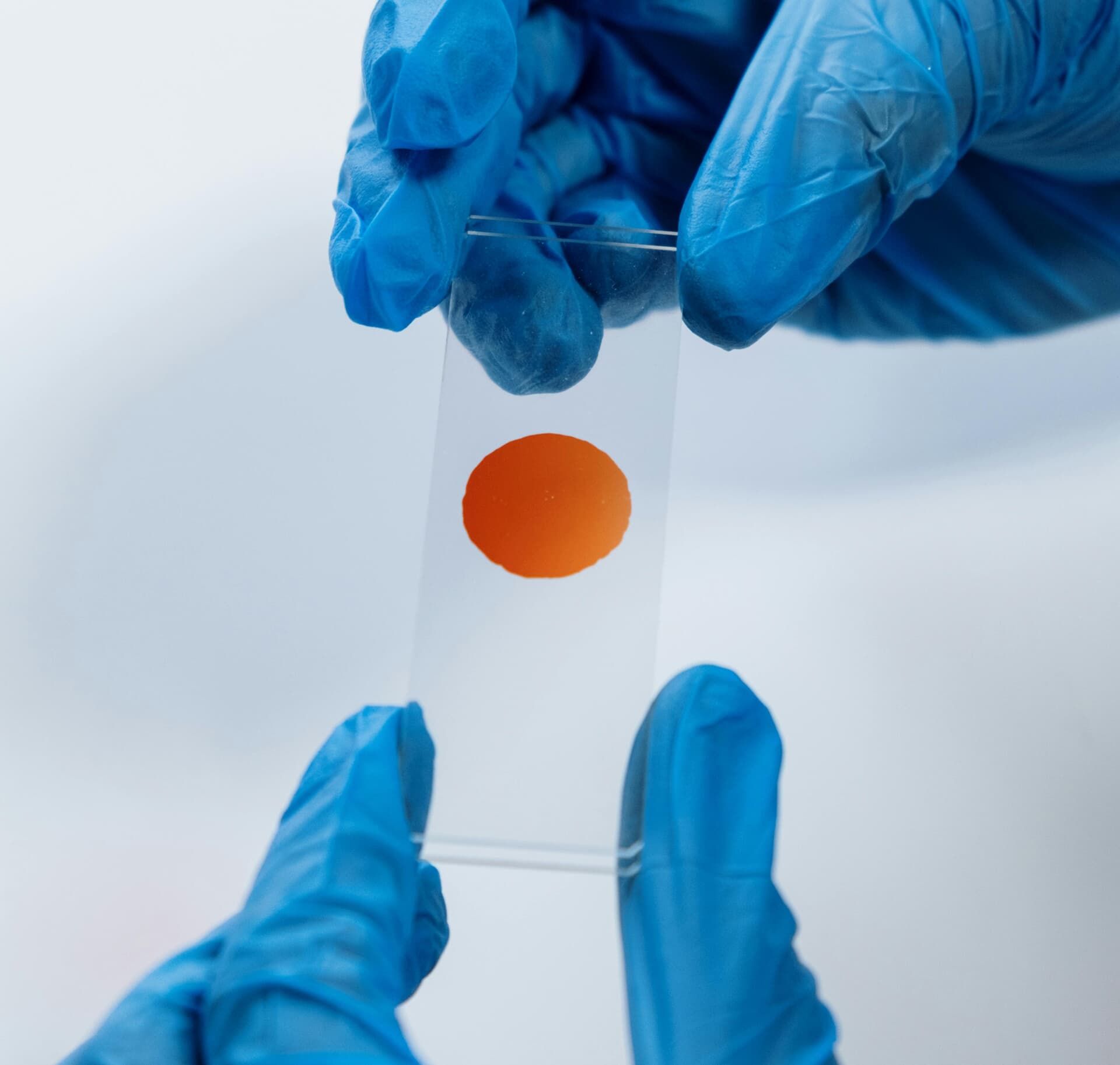 custom-img-148-copyright